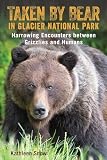 Taken By Bear In Glacier National Park Harrowing Encounters Between Grizzlies And Humans