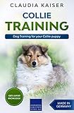 Collie Training Dog Training For Your Collie Puppy