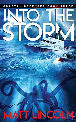 Into the Storm book cover