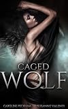 Darkmore Penitentiary Supernatural Prison For Dark Fae Book 1