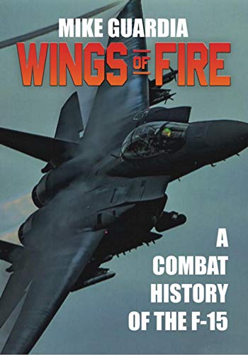 Wings of Fire: A Combat History of the F-15 book cover