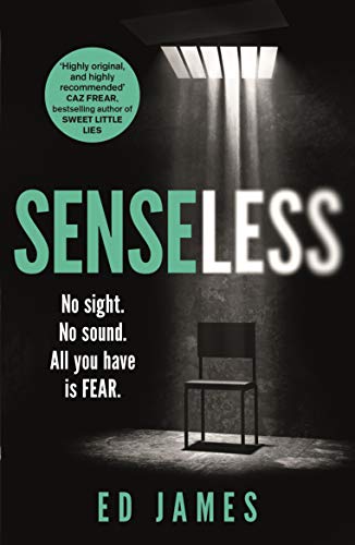 Senseless book cover