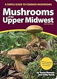 Mushrooms Of The Upper Midwest A Simple Guide To Common Mushrooms Mushroom Guides