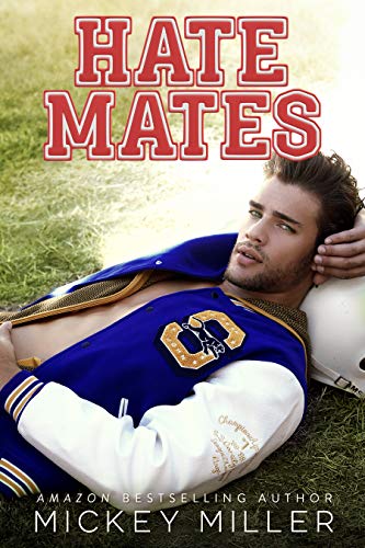 Hatemates book cover