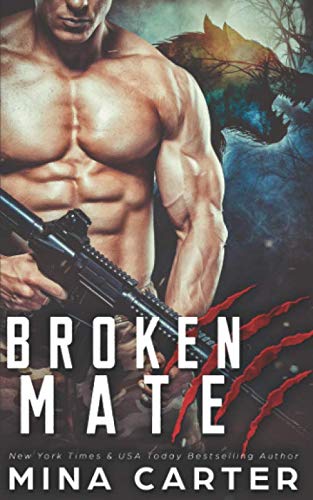 Broken Mate book cover
