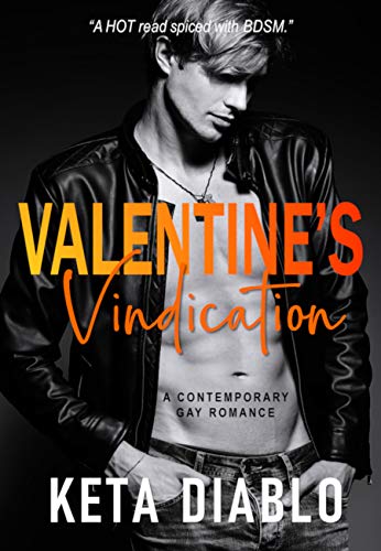 Valentine's Vindication: A Contemporary Gay Romance book cover