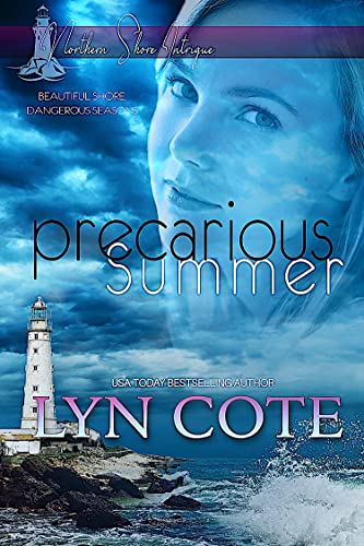 Precarious Summer book cover
