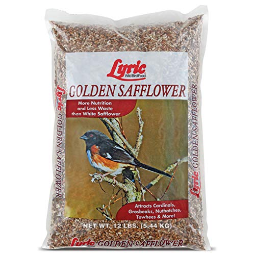 Lyric Golden Safflower Bird Seed for Outside Feeders 12 lb