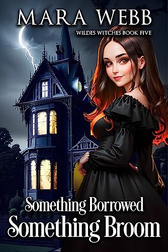 Something Borrowed, Something Broom book cover