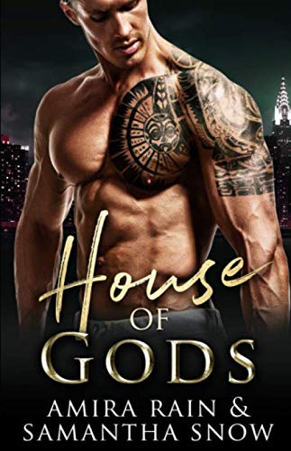 The Gods Of New York / House Of Gods book cover