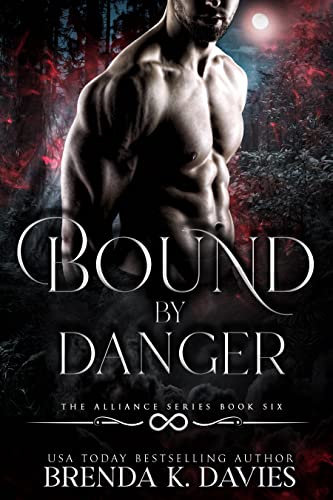 Bound by Danger book cover