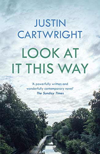 Look At It This Way book cover
