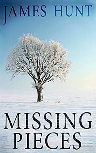 Missing Pieces book cover