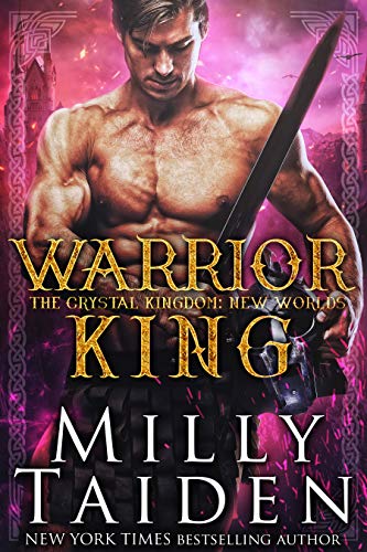Warrior King book cover