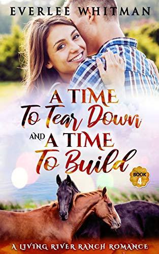 A Time To Tear Down and A Time To Build book cover
