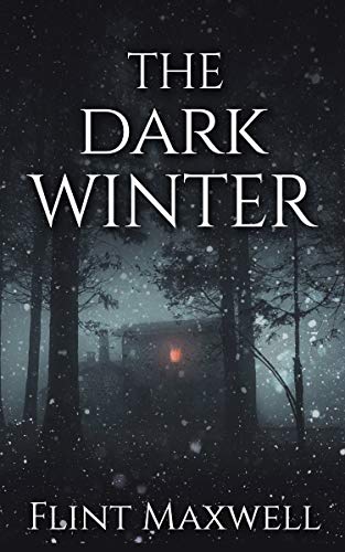 The Dark Winter book cover
