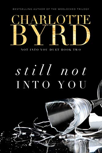 Still Not Into You book cover