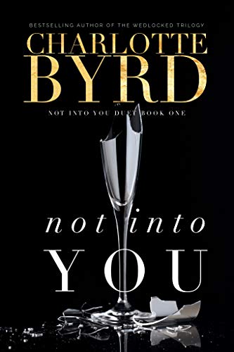 Not Into You book cover