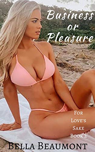 Business or Pleasure book cover