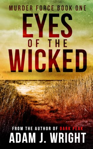 Eyes of the Wicked book cover
