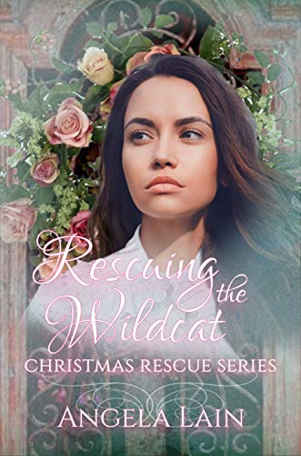 Rescuing The Wildcat (By: Angela Lain) cover