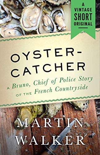 Oystercatcher cover