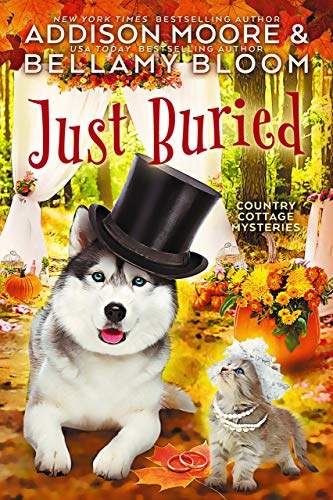 Just Buried book cover