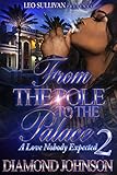 From The Pole To The Palace 2 A Love Nobody Expected