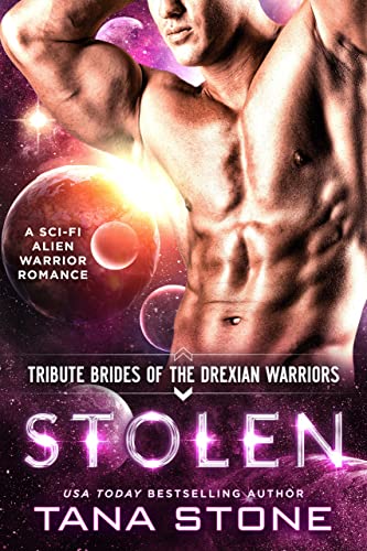 Stolen book cover