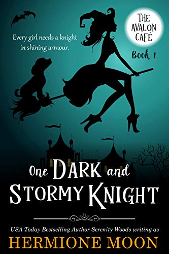 One Dark and Stormy Knight book cover