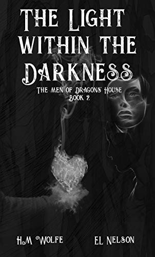 The Light Within the Darkness book cover
