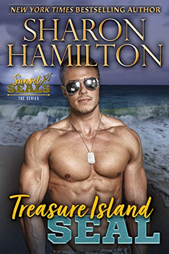 Treasure Island SEAL book cover