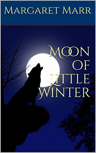 Moon of Little Winter book cover