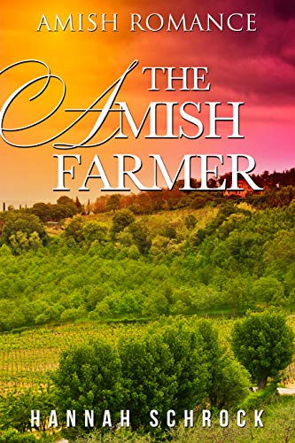 The Amish Farmer book cover