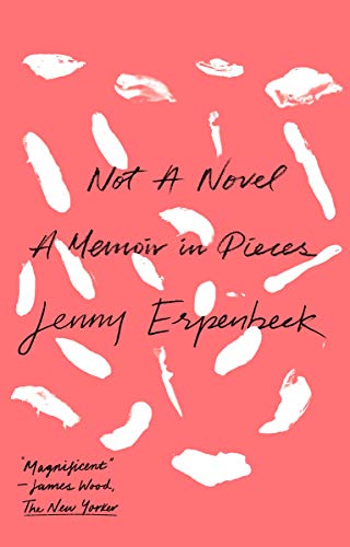 Not a Novel: A Memoir in Pieces book cover