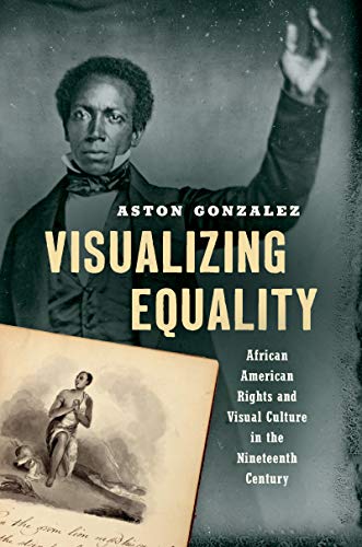 Visualizing Equality book cover