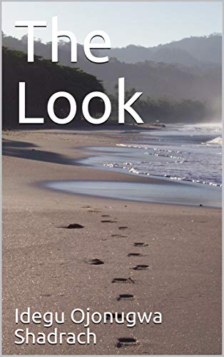 The Look book cover