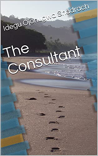 The Consultant book cover
