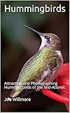 Hummingbirds Attracting And Photographing Hummingbirds Of The Midatlantic
