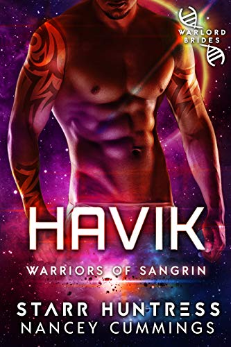 Havik book cover