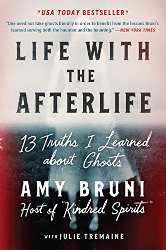 Life with the Afterlife book cover