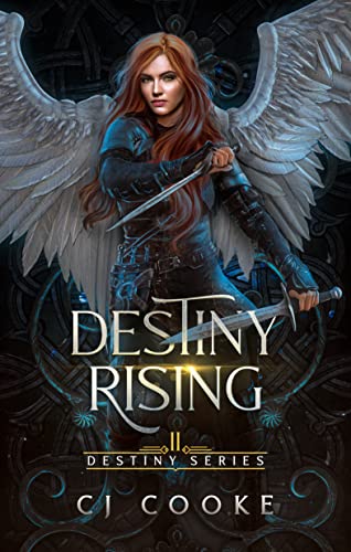 Destiny Rising book cover