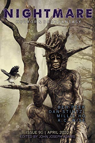 Nightmare Magazine, Issue 91 book cover
