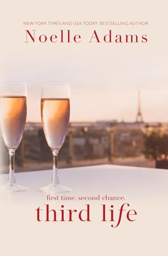 Third Life book cover