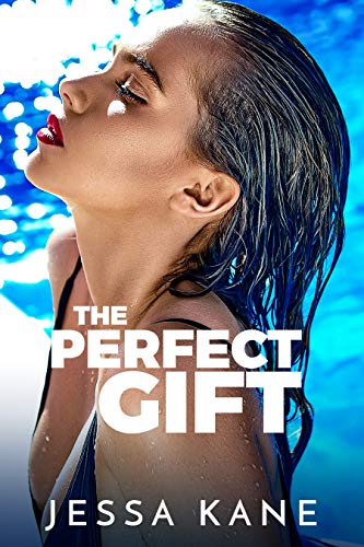 The Perfect Gift cover