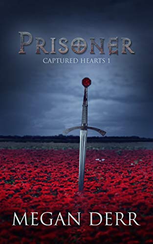 Prisoner book cover