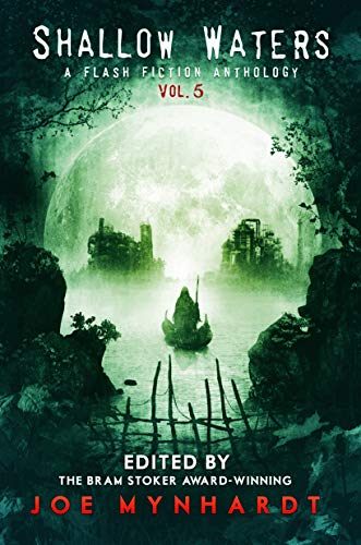 Shallow Waters, Vol. 5: A Flash Fiction Anthology book cover