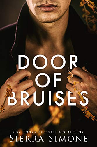 Door of Bruises cover