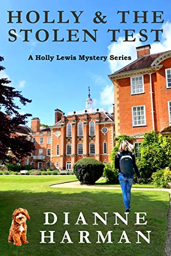 Holly and the Stolen Test book cover
