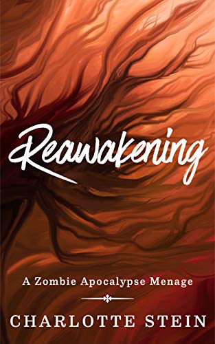 Reawakening book cover